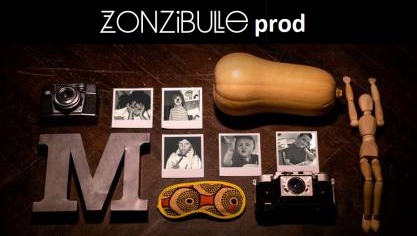 ZonzibulleProd-417x236.png